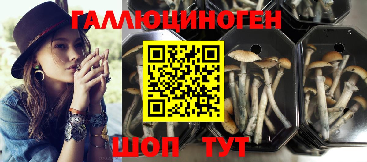 Псилоцибиновые грибы прущие грибы  Вход с VPN  Чехов  Галлюциногенные грибы ЛСД 